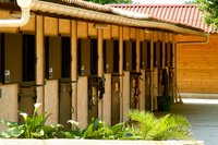 Centre équestre- poney club- écurie de propriétaire